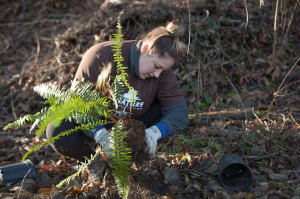 NC Planting_CreditKristieMcLean